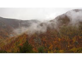 photo coins arrondis