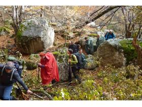 photo coins arrondis