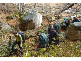 photo coins arrondis