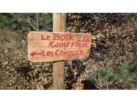 photo coins arrondis