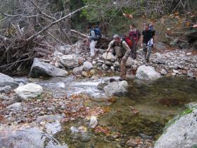 photo coins arrondis