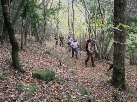 photo coins arrondis