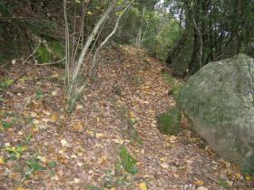 photo coins arrondis