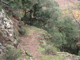 photo coins arrondis