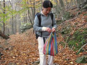 photo coins arrondis