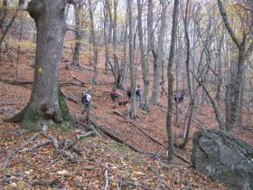 photo coins arrondis