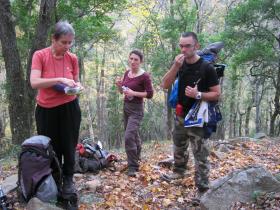 photo coins arrondis