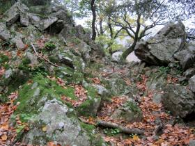 photo coins arrondis