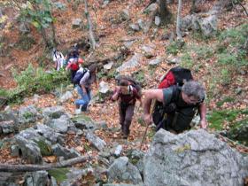 photo coins arrondis