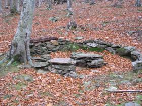 photo coins arrondis