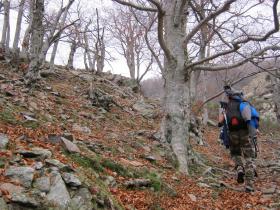 photo coins arrondis