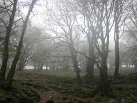 img-0657.jpg Image aléatoire