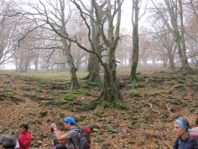 photo coins arrondis