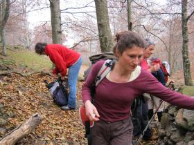 photo coins arrondis