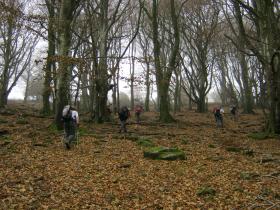 photo coins arrondis