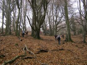 photo coins arrondis