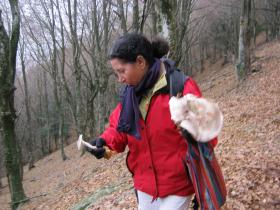 photo coins arrondis