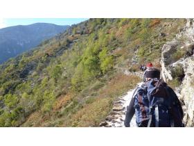 photo coins arrondis