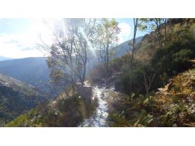 photo coins arrondis