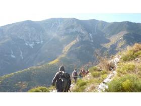 photo coins arrondis