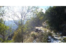 photo coins arrondis