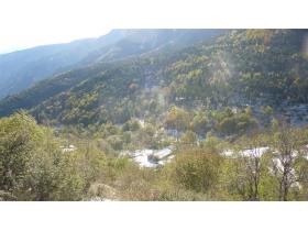 photo coins arrondis