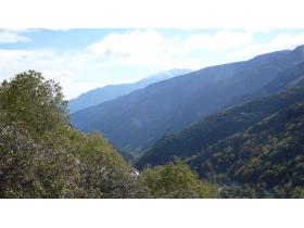 photo coins arrondis