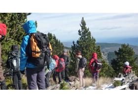 photo coins arrondis