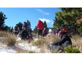 photo coins arrondis