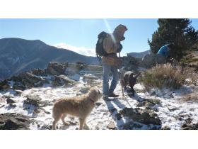 photo coins arrondis