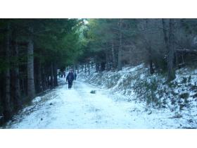 photo coins arrondis