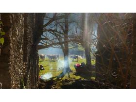 photo coins arrondis