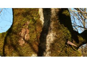 photo coins arrondis