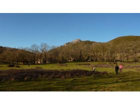 photo coins arrondis