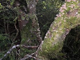 photo coins arrondis