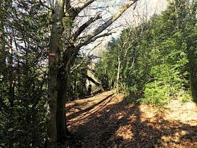 photo coins arrondis