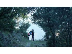 photo coins arrondis