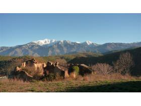 photo coins arrondis