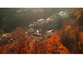 photo coins arrondis