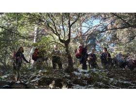 photo coins arrondis