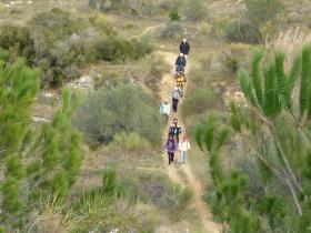 photo coins arrondis