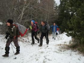 photo coins arrondis