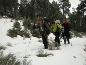 photo coins arrondis