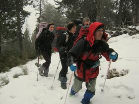 photo coins arrondis