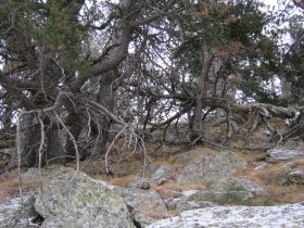 photo coins arrondis