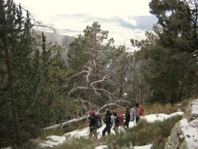 photo coins arrondis