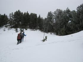 photo coins arrondis