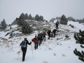 photo coins arrondis