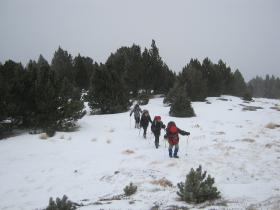 photo coins arrondis