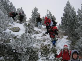 photo coins arrondis